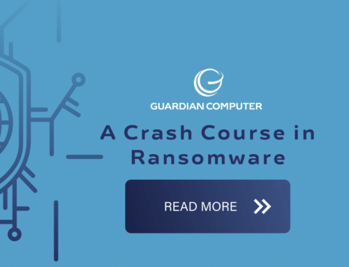 A Crash Course in Ransomware